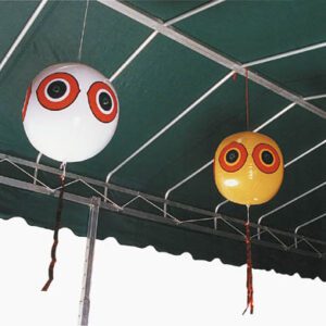 White and yellow balloons with large eyes