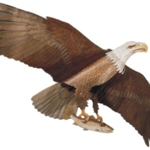 Majestic eagle soaring with fish