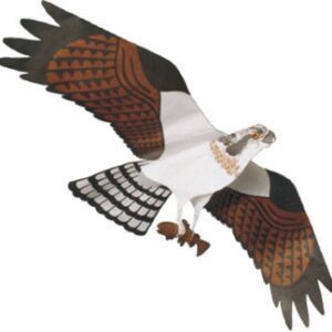 Flying bird kite illustration